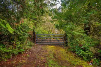 Recently cleared road leads down to view and building area.