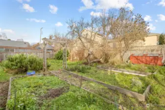 Fruit trees and established garden beds.