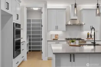 Main Level: Kitchen / Walk in Pantry