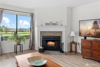Wood burning fireplace