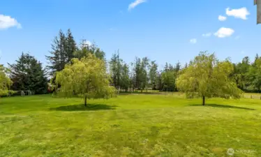 Gorgeous landscape w/ fruit trees