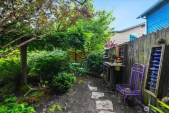 Peasceul Backyard