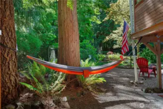 Tie up your own hammock and listen to the birds!