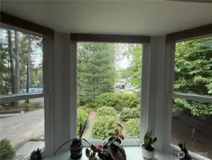 Lake view out the bay window.
