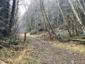 Lower Gate