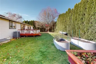 UG sprinklers in backyard & raised beds