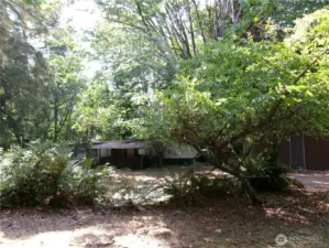 There are both an apple and a plum tree with room for much more agriculture