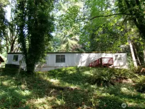 Looking up to the house from the lower clearing.