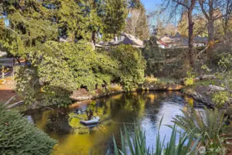 The pond offers a peaceful setting.