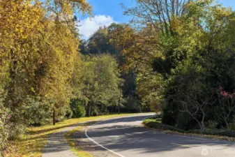 Let's explore some of Normandy Park highlights as such sidewalks great for safe strolls with furry friends.