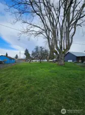 Backyard with detached garage to the right