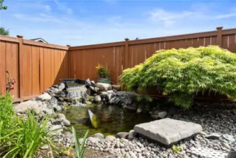Water Feature