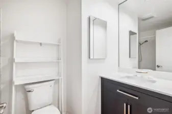 Upstairs hall bath