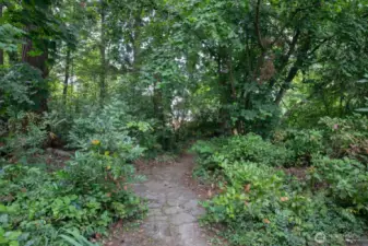 7,200 square foot lot is ready for you to build you dream home.