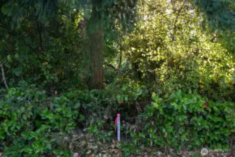 Please feel free to wander and see the markers