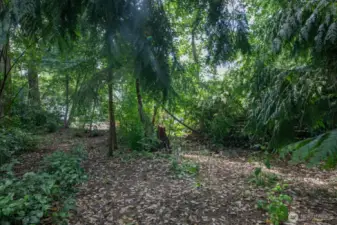 Level and spacious lot.