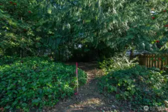 New survey to mark the Northern boundary.