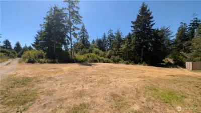 Set among the evergreens, this versatile lot in Sunset Sands is perfect for RV living, weekend camping, or planning your future home. With water already connected and RV-ready electrical hookups offering 20, 30, and 50 amp service, it’s ready for immediate use. Enjoy privacy, easy access, and the perks of a quiet HOA community—where possibilities grow beneath the coastal sky.