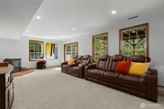 Lower level bonus room with cozy pellet stove