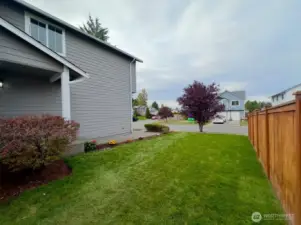 Left side of house