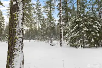 Level and private 1/2 acre homesite