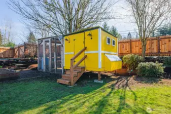 8x8 chicken coop with run