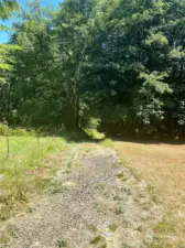 ACCESS ROAD TO LOTS.  SELLER HAD THIS ROAD PROFESSIONALLY CLEARED FOR EASY ACCESS!