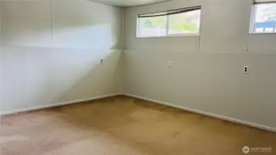 bedroom 4-lower level