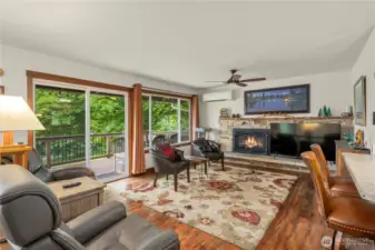 Propane fireplace keeps the house cozy on those chilly Pacific Northwest winter days. The south side is so light and bright to let the daylight in. Ductless heat pump is so efficient and also provides AC in the summers.