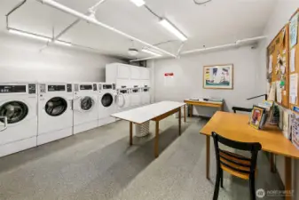 Laundry room with new WDs
