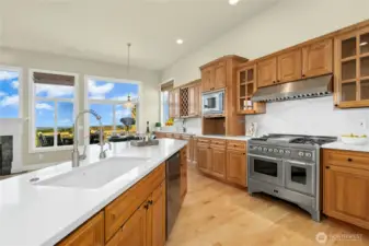 Italian range (child-proof) and appliance garage!