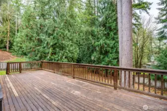 A beautiful, spacious deck overlooking the private backyard. Perfect for outdoor dining and entertaining.