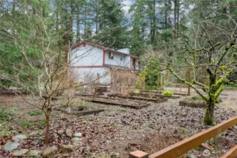 Close Up Garden, Fire pit, Fruit Trees