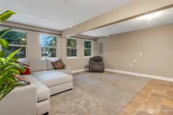 Downstairs Family Room