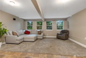 Downstairs Family Room