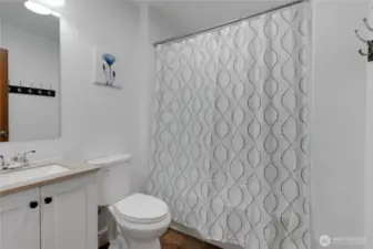 Down stairs bathroom
