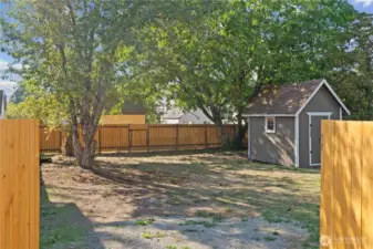 3 apple trees & 1 walnut tree