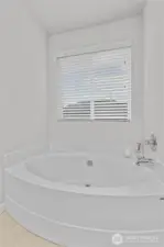 Giant soaking tub in the primary bath