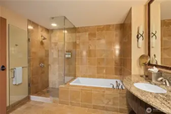 bathroom with soaking tub and shower