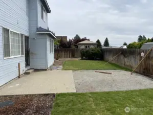 Back yard-1
