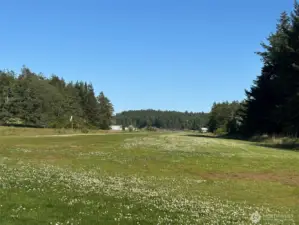 Runway