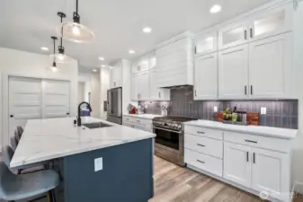 Generous island, high end appliances