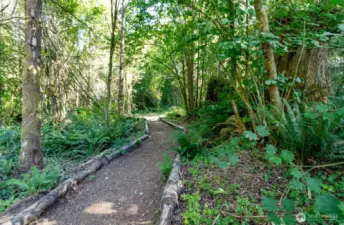 Large trails through the forest to walk on or ride your bike, motorcycle or horse!