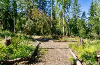 More trails with wild flowers that bloom all summer, your private Pacific Northwest wonderland right in your own back yard