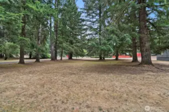 Side yard