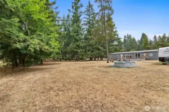 Back yard