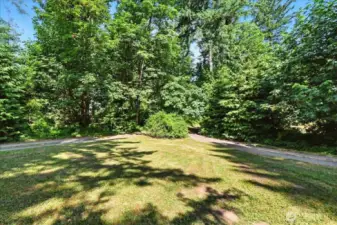 Front yard/Driveway
