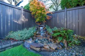 Back yard water feature.