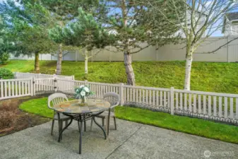 Back patio & fenced yard.