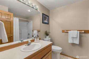 Lower level full bath